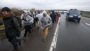 Migranata, Foto: Srđan Ilić