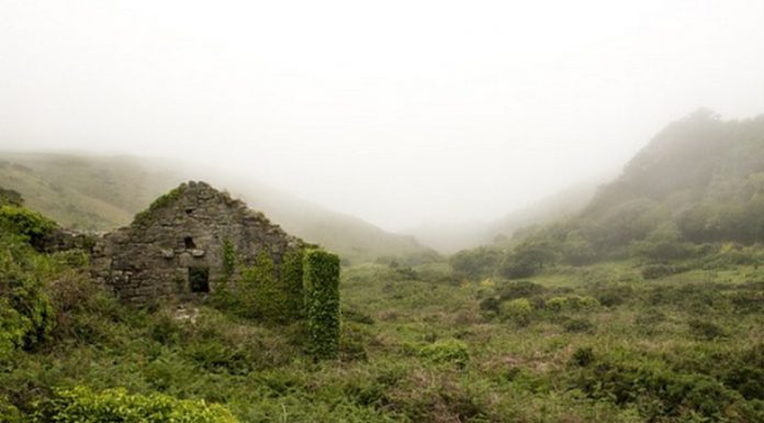 Raspad države i društva