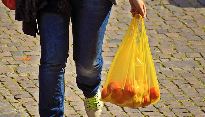 Naredne godine odluka o zabrani plastičnih kesa