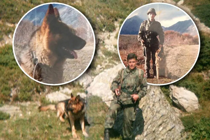 Jedinstven primer junačke pogibije psa majora u srpskoj vojsci ...