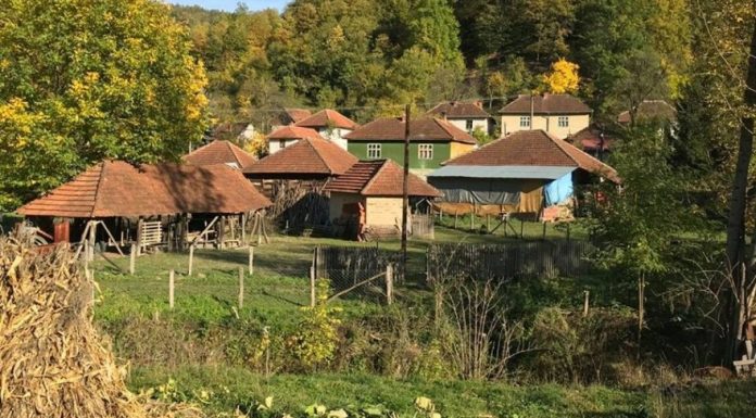 Napuštene seoske kuće dobijaju nove stanare