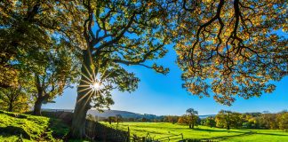 Oktobar 2022. najtopliji do danas zabeležen u Evropi