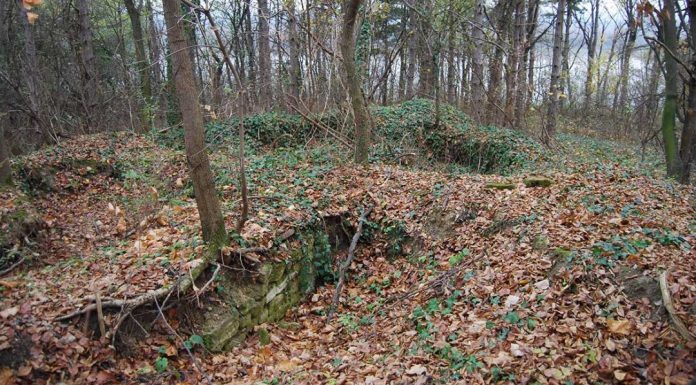 Beogradsko predgrađe za koje možda niste čuli: Ad Octavum