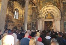 Simbol lepote i opstanka